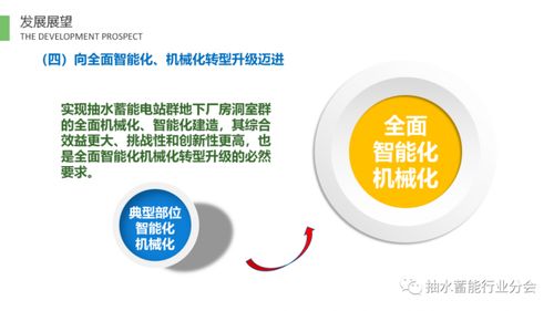 抽水蓄能電站TBM技術(shù)發(fā)展報(bào)告（2020-2021） 掘進(jìn)創(chuàng)新與工程實(shí)踐