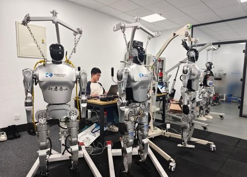 從車間到云端 山東機(jī)器人產(chǎn)業(yè)一線見聞與智能研發(fā)新圖景